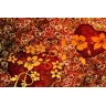 Quadro Decorativo Flor Flores Estimo Moderno Abstrato - 3