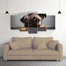 Quadro decorativo sala quarto parede Pug - 2