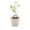 Ver imagem 3 de KIT PLANTAR 3 VASO AUTOIRRIGÁVEL PLANTA FLOR TEMPERO JARDIM