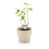 KIT PLANTAR 3 VASO AUTOIRRIGÁVEL PLANTA FLOR TEMPERO JARDIM - 3