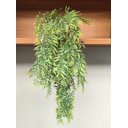 Ver imagem 1 de Arranjo com Folhagem de Bambo Verde Pendente 65cm com Vaso