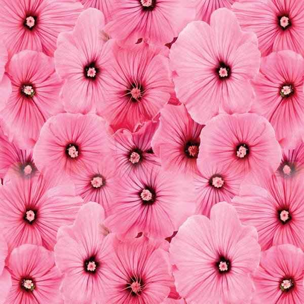 Papel de Parede Adesivo Floral 025 Rosa 4.80x0.58m - 2