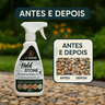 Fixador de Pedras Hold Stone 500ml | Realça Brilho, Protege, Preserva Drenagem - 4