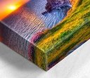 Ver imagem 2 de Quadro Decorativo Canvas Gorila 40x70 só armação