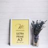 Kit 2 Molduras A3 Brancas com Vidro Antirreflexo para Quadro - 3