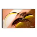 Ver imagem 1 de Quadro Decorativo Canvas Abstrato 60x105cm-QA-51