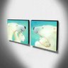 kit 2 Quadros Infantis Ursos Branco Canvas 30x30cm-INF419 - 3