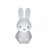 Cofre Natural Coelhinho Miffy Decoração Infantil Decorfun cofre Miffy, cofre coelhinho miffy, cofre  - 1