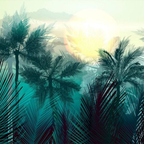 Papel de Parede natureza floresta tropical - 3