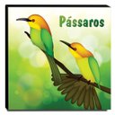 Ver imagem 1 de Quadro Infantil Pássaros Canvas 30x30cm-INF111