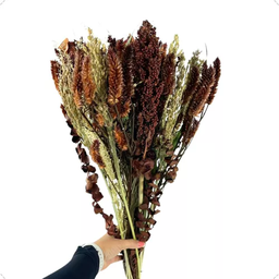 Buquê Flor Desidratada Decoração Casamento Marrom Terracota - 2