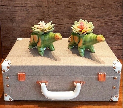 Vaso Cachepot Dino Cerâmica para Suculenta Cacto Plantas Decor - 6