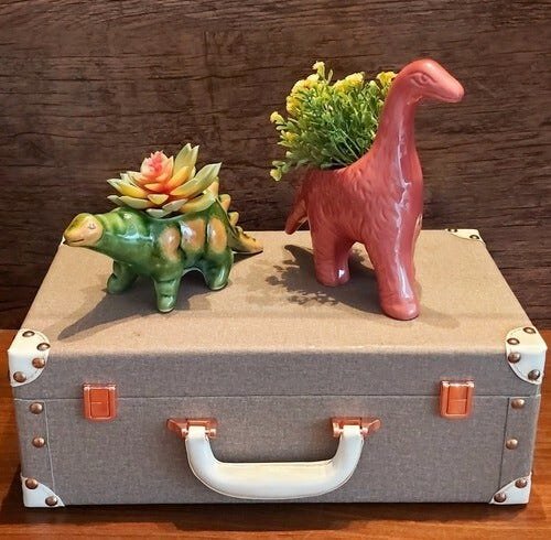 Vaso Cachepot Dino Cerâmica para Suculenta Cacto Plantas Decor - 5