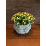 Vaso de Cimento Decorativo com Planta Cachepot Hands - 6
