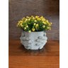 Vaso de Cimento Decorativo com Planta Cachepot Hands - 2