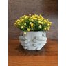 Vaso de Cimento Decorativo com Planta Cachepot Hands - 3