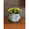 Vaso de Cimento Decorativo com Planta Cachepot Hands - 1