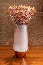 Ver imagem 5 de Vaso de Vidro Rosé Gold e Fumê 30cm Mocca Mart