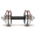 Ver imagem 1 de Halter Peso Ajustavel 10kg Anilhas Academia Musculaçao Exercicio Treino Braço Biceps Triceps Fortale