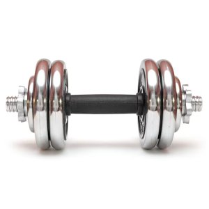 Halter Peso Ajustavel 10kg Anilhas Academia Musculaçao Exercicio Treino Braço Biceps Triceps Fortale