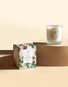 Ver imagem 1 de Vela Perfumada Figo Ambarado 210g - L´envie Parfums