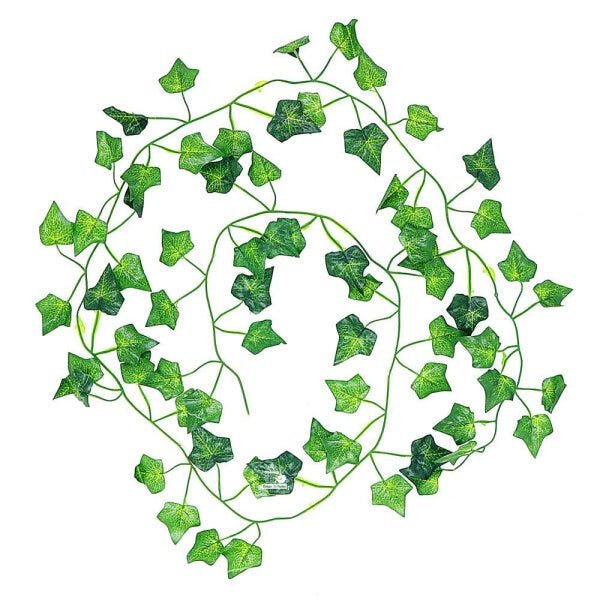 6 Unidades Corrente de Hera Verde - 1