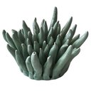 Ver imagem 1 de Alga Decorativa Verde BTC