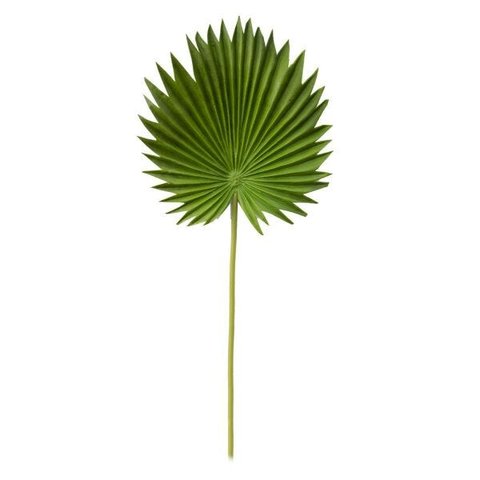 Folhagem Mini Latania Leque Haste Planta Artificial 45x18cm