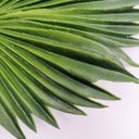 Ver imagem 2 de Folhagem Mini Latania Leque Haste Planta Artificial 45x18cm