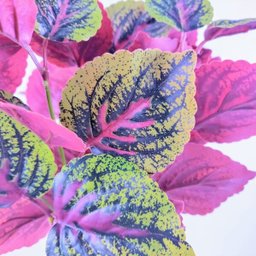 Folhagem Coleus Planta Artificial Permanente 38x25cm Jardim - 4