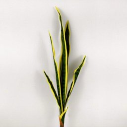 Haste Espada de Sao Jorge Planta Artificial 83x20x8cm T Real - 3