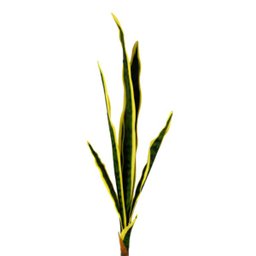 Haste Espada de Sao Jorge Planta Artificial 83x20x8cm T Real - 1