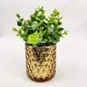 Porta Vela Castiçal Diamond Vasinho 9cm Dourado com Planta - 6