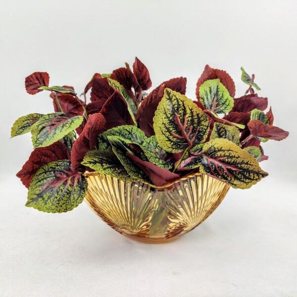 Centro De mesa Decorativo Fruteira Lirica Ambar 11x24cm - 5