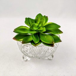 Jogo De Taca Sobremesa 6pc Vaso Para Planta Gotas 6x10cm - 9 Jogo De Taca Sobremesa 6pc Vaso Para Planta Gotas 6x10cm - 9