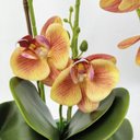 Ver imagem 5 de Arranjo Orquidea Planta Artificial 50x33cm Laranja Com Vaso