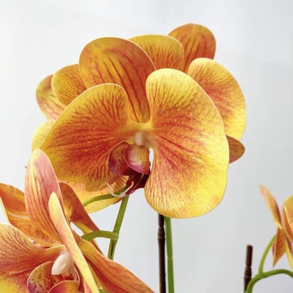 Arranjo Orquidea Planta Artificial 50x33cm Laranja Com Vaso - 4