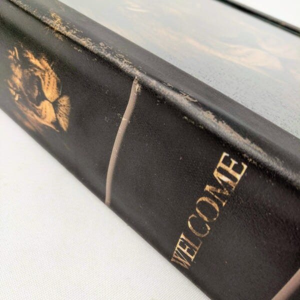Caixa Livro Decorativa Nature Leao Marrom Espelhada 31x21cm - 6