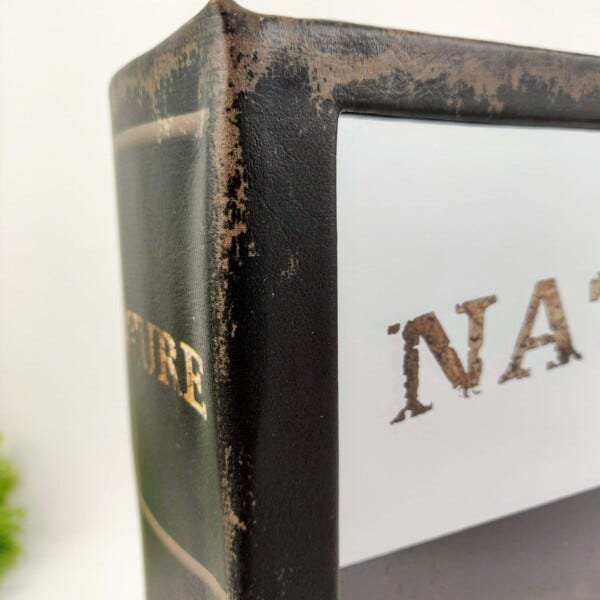 Caixa Livro Decorativa Nature Leao Marrom Espelhada 31x21cm - 3