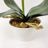 Arranjo Orquidea Planta Artificial 41x19cm Laranja Com Vaso - 6