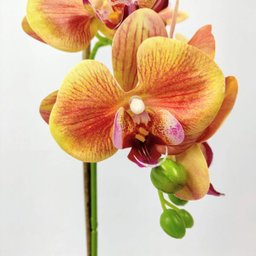 Arranjo Orquidea Planta Artificial 41x19cm Laranja Com Vaso - 3 Arranjo Orquidea Planta Artificial 41x19cm Laranja Com Vaso - 3