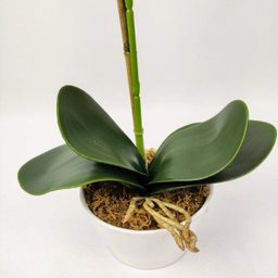 Arranjo Orquidea Planta Artificial 41x19cm Laranja Com Vaso - 5