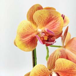 Arranjo Orquidea Planta Artificial 41x19cm Laranja Com Vaso - 4