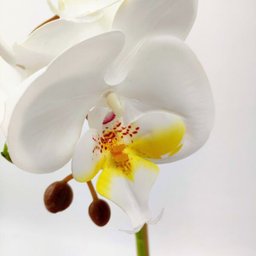 Arranjo Orquidea Planta Artificial 41x19cm Branca Com Vaso - 3