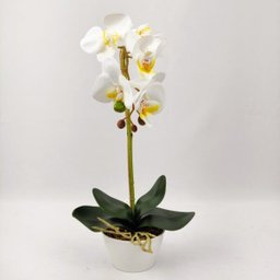Arranjo Orquidea Planta Artificial 41x19cm Branca Com Vaso - 2