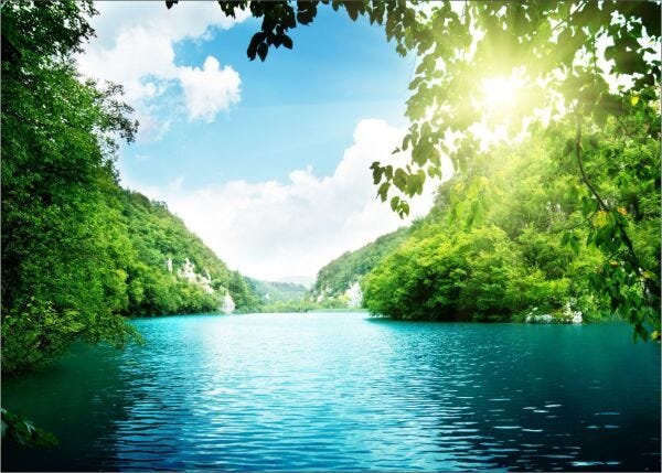Papel de Parede Paisagens Floresta 0018 - Adesivo de Parede - 2