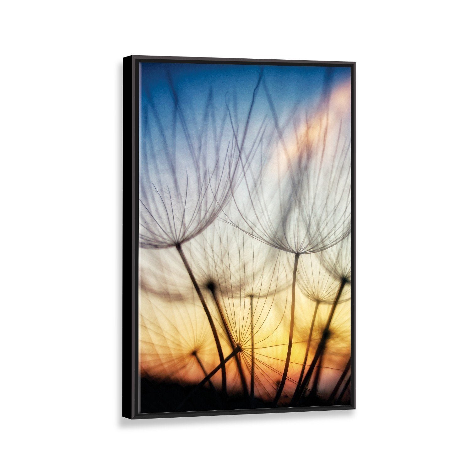 Tela Canvas com Moldura Dente de Leão Preto - Grande - 1