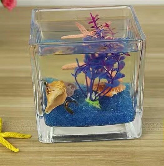 Vaso de Vidro Luxo Quadrado Cristal 15x15cm 1013 - 8