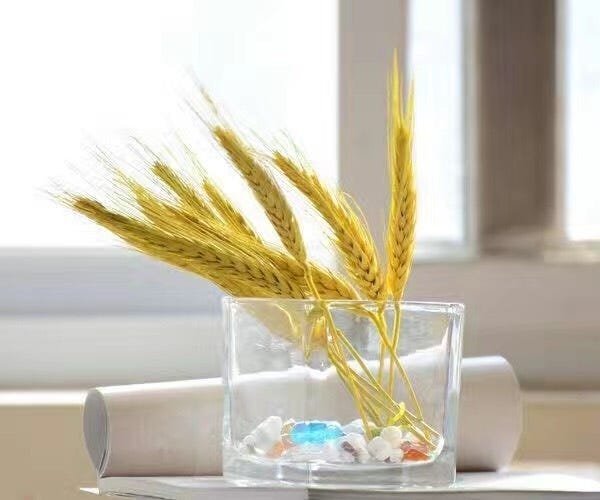 Vaso de Vidro Luxo Quadrado Cristal 15x15cm 1013 - 6