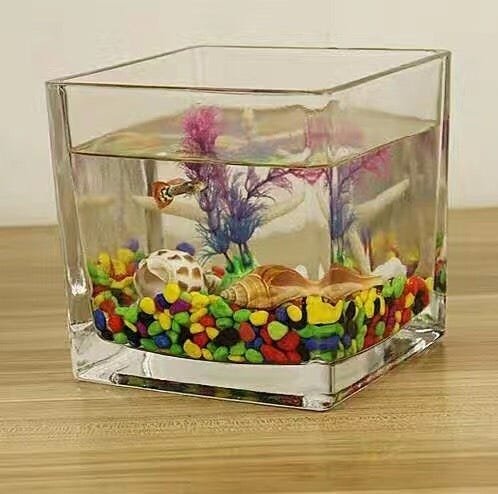 Vaso de Vidro Luxo Quadrado Cristal 15x15cm 1013 - 7